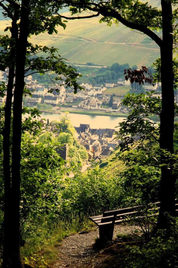 Appartement Mosel Panorama à Zell Extérieur photo