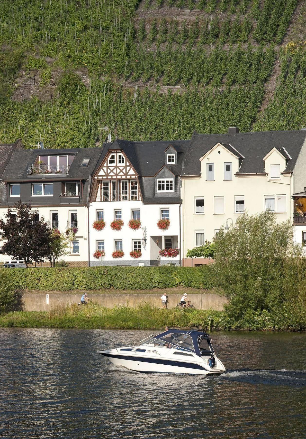 Appartement Mosel Panorama à Zell Extérieur photo